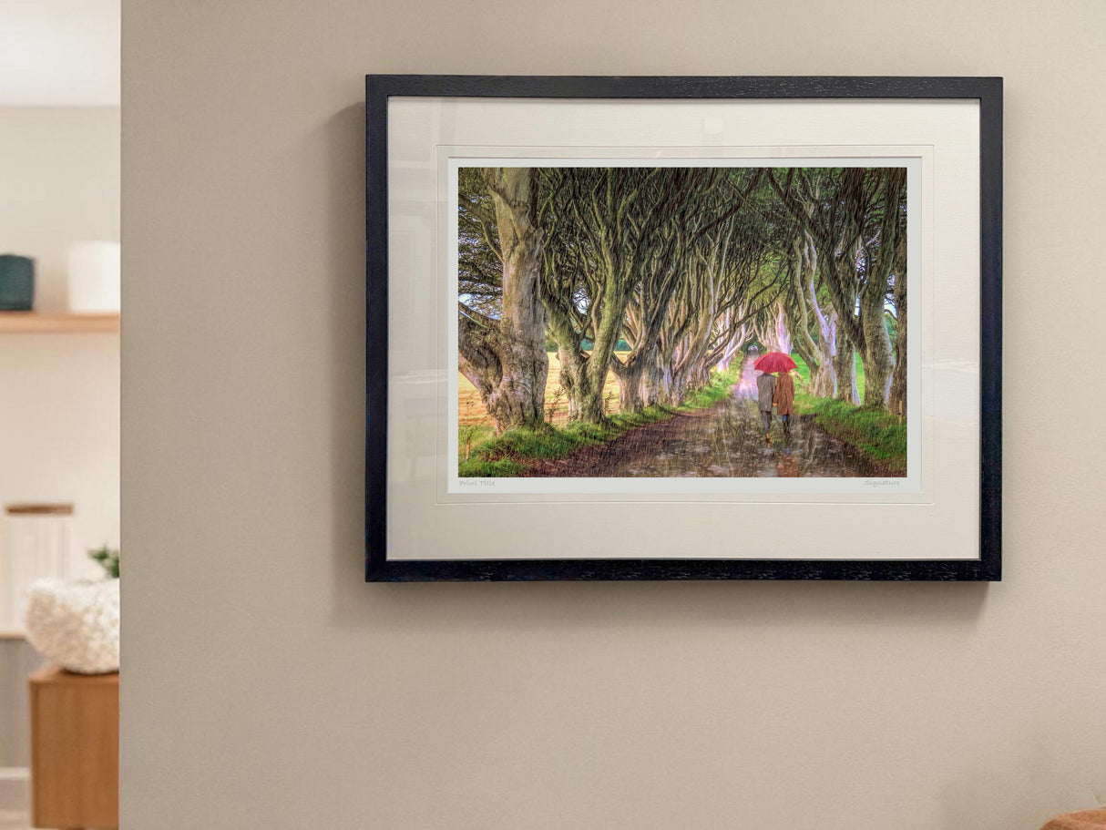 A Walk In The Rain, The Dark Hedges