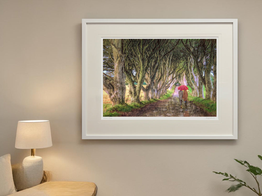 A Walk In The Rain, The Dark Hedges
