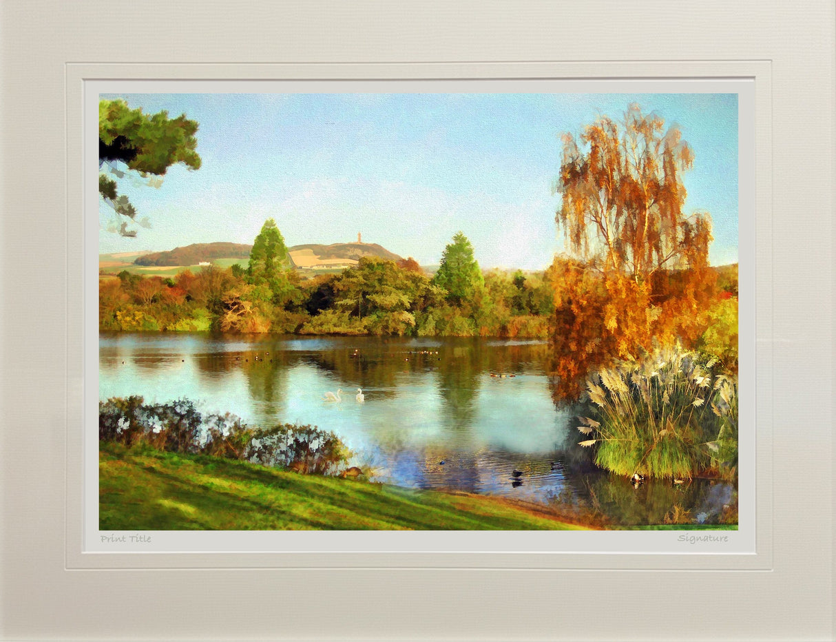 Autumn, Castle Espie
