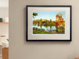 Autumn, Castle Espie