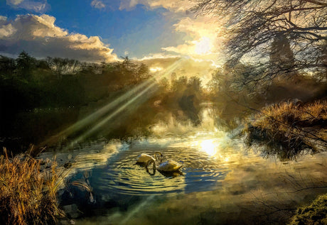 Autumn Mists, Mount Stewart - signed limited edition print by Lucas Creative Art
