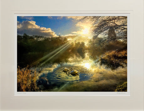 Autumn Mists, Mount Stewart - signed limited edition print by Lucas Creative Art
