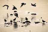 Ballet in Silhouette, Strangford Lough