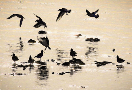Ballet In Silhouette, Strangford Lough - signed limited edition print by Lucas Creative Art