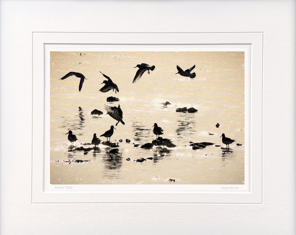 Ballet in Silhouette, Strangford Lough