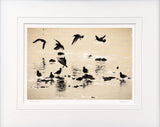 Ballet in Silhouette, Strangford Lough