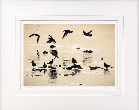 Ballet In Silhouette, Strangford Lough - signed limited edition print by Lucas Creative Art