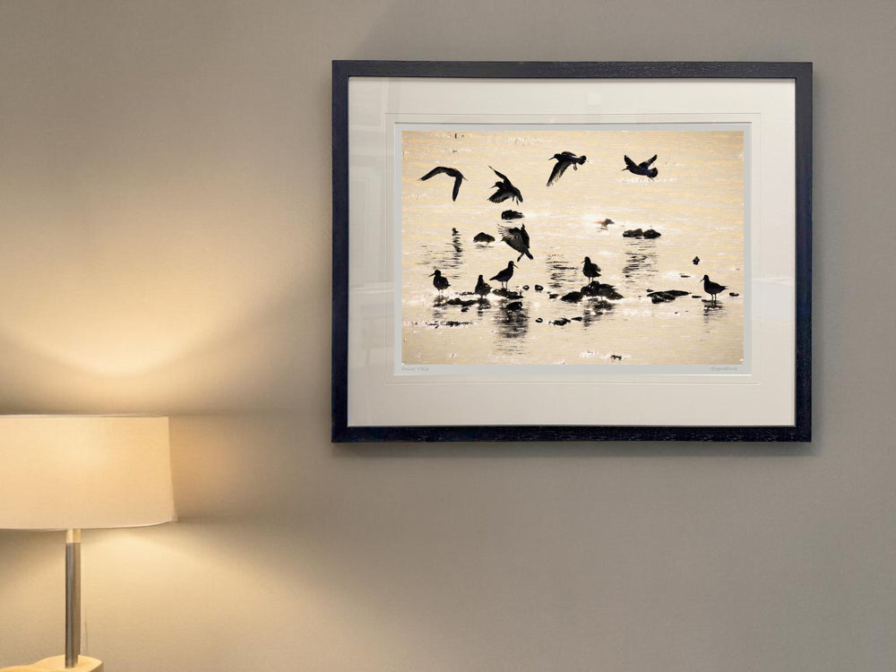 Ballet in Silhouette, Strangford Lough