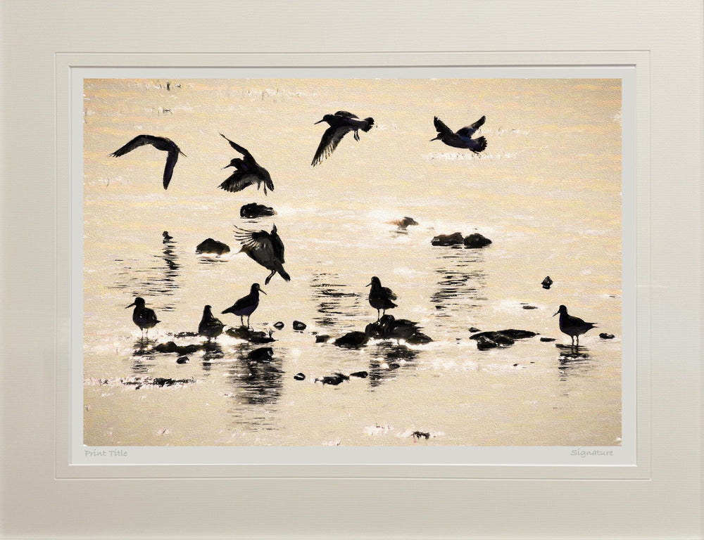 Ballet in Silhouette, Strangford Lough