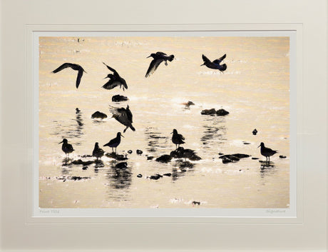 Ballet In Silhouette, Strangford Lough - signed limited edition print by Lucas Creative Art