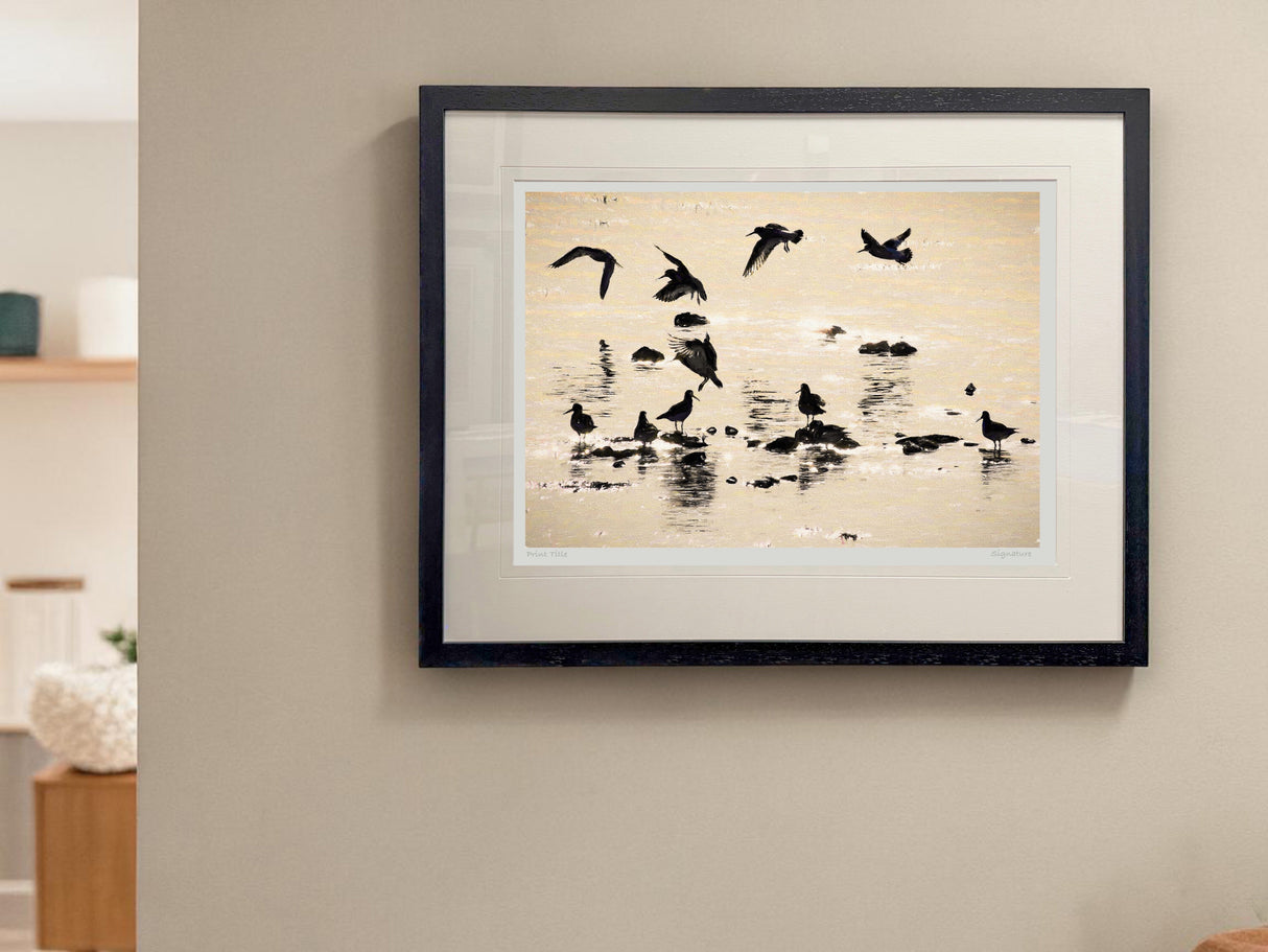 Ballet in Silhouette, Strangford Lough