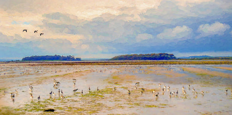Brent Geese, Greyabbey - signed limited edition print by Lucas Creative Art