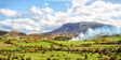 Burning The Gorse, Under Muckish - signed limited edition print by Lucas Creative Art