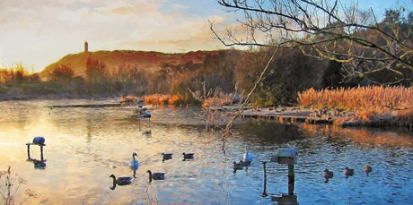 Early Morning, Kiltonga - signed limited edition print by Lucas Creative Art