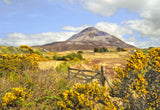 Errigal From Dunlewey - signed limited edition print by Lucas Creative Art