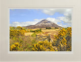 Errigal From Dunlewey - signed limited edition print by Lucas Creative Art