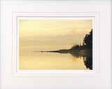 Evening Gold, Strangford Lough