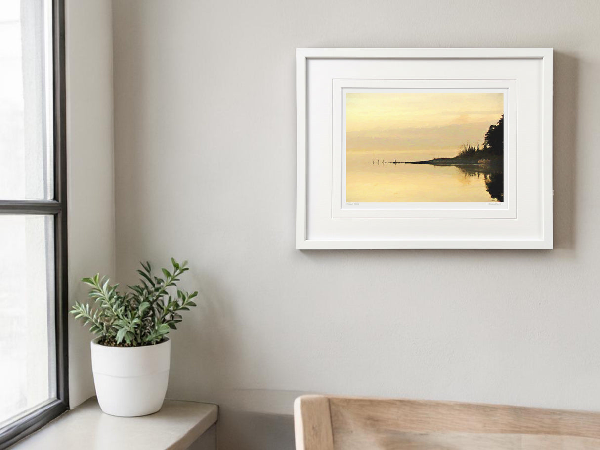 Evening Gold, Strangford Lough