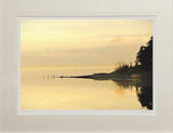 Evening Gold, Strangford Lough