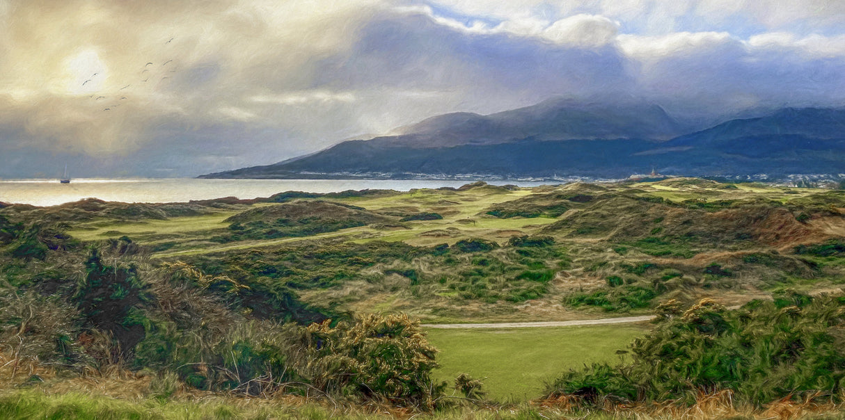 Evening Sun, Royal County Down