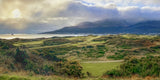 Evening Sun, Royal County Down
