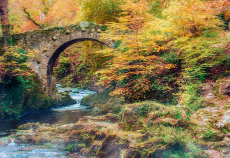 By Foley's Bridge, Newcastle - signed limited edition print by Lucas Creative Art