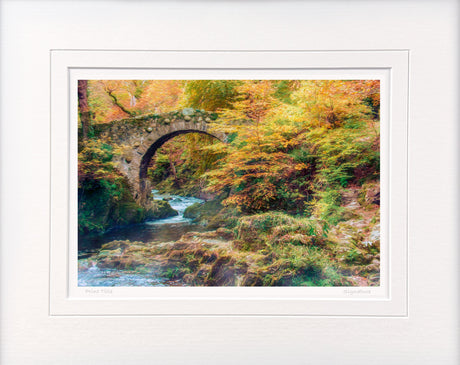 By Foley's Bridge, Newcastle - signed limited edition print by Lucas Creative Art