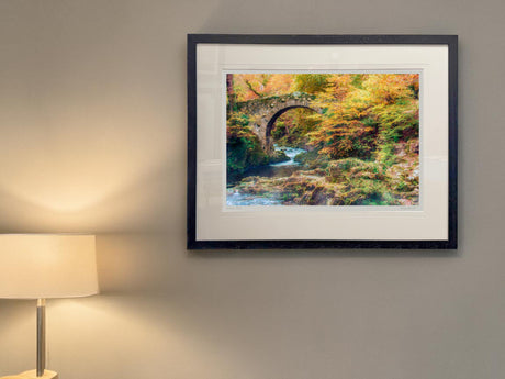 By Foley's Bridge, Newcastle - signed limited edition print by Lucas Creative Art