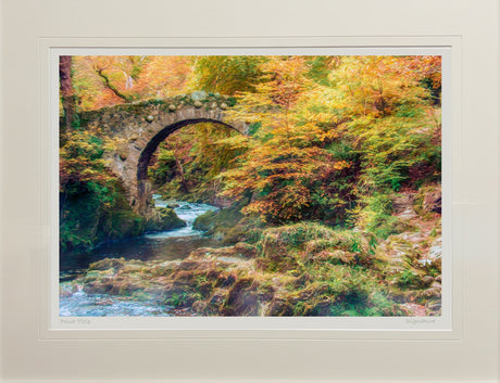 By Foley's Bridge, Newcastle - signed limited edition print by Lucas Creative Art