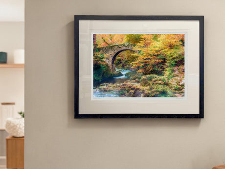 By Foley's Bridge, Newcastle - signed limited edition print by Lucas Creative Art