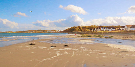 Fresh Day, Millisle - signed limited edition print by Lucas Creative Art