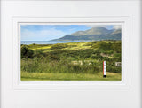 From The 8th Tee, Royal County Down - signed limited edition print by Lucas Creative Art