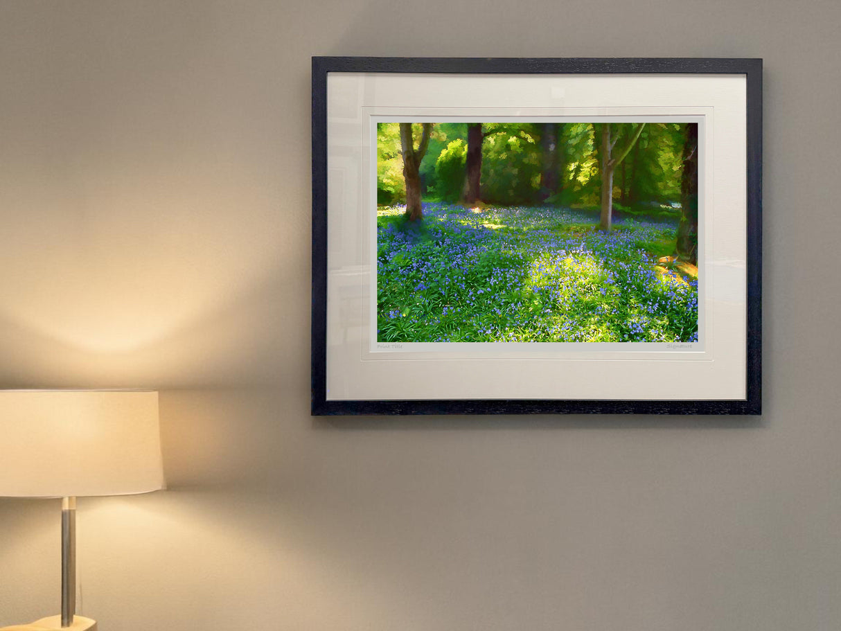 Mount Stewart - Bluebells
