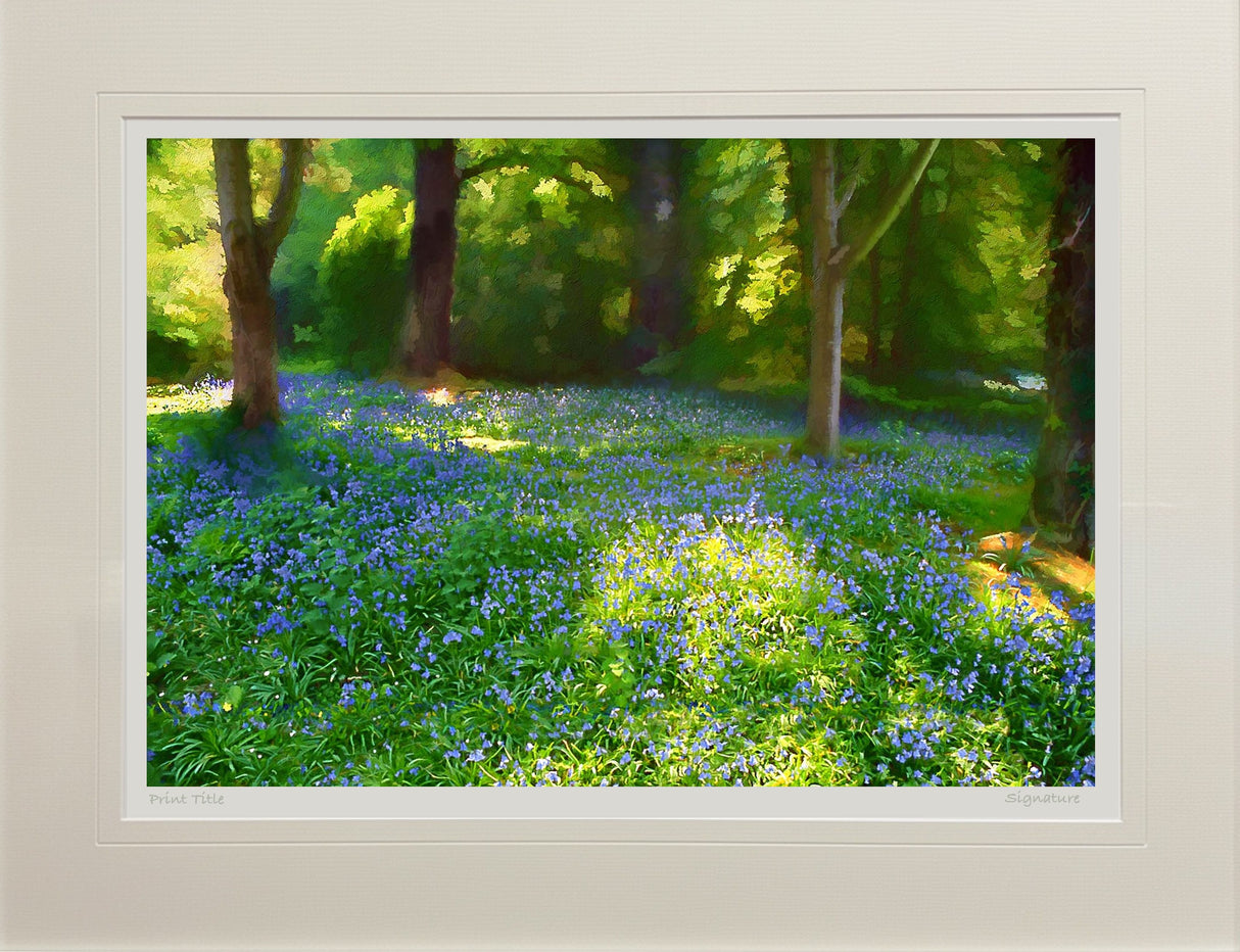 Mount Stewart - Bluebells
