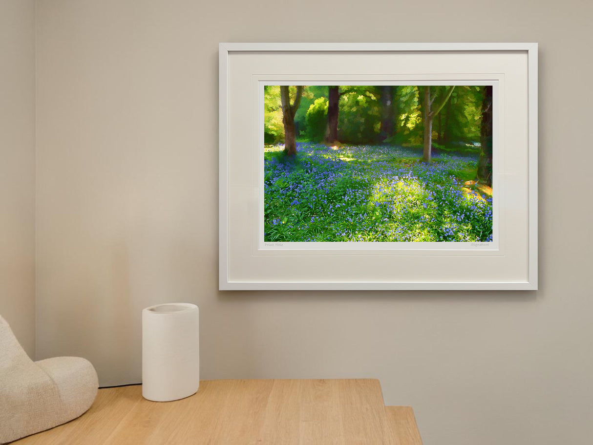 Mount Stewart - Bluebells