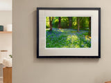 Mount Stewart - Bluebells