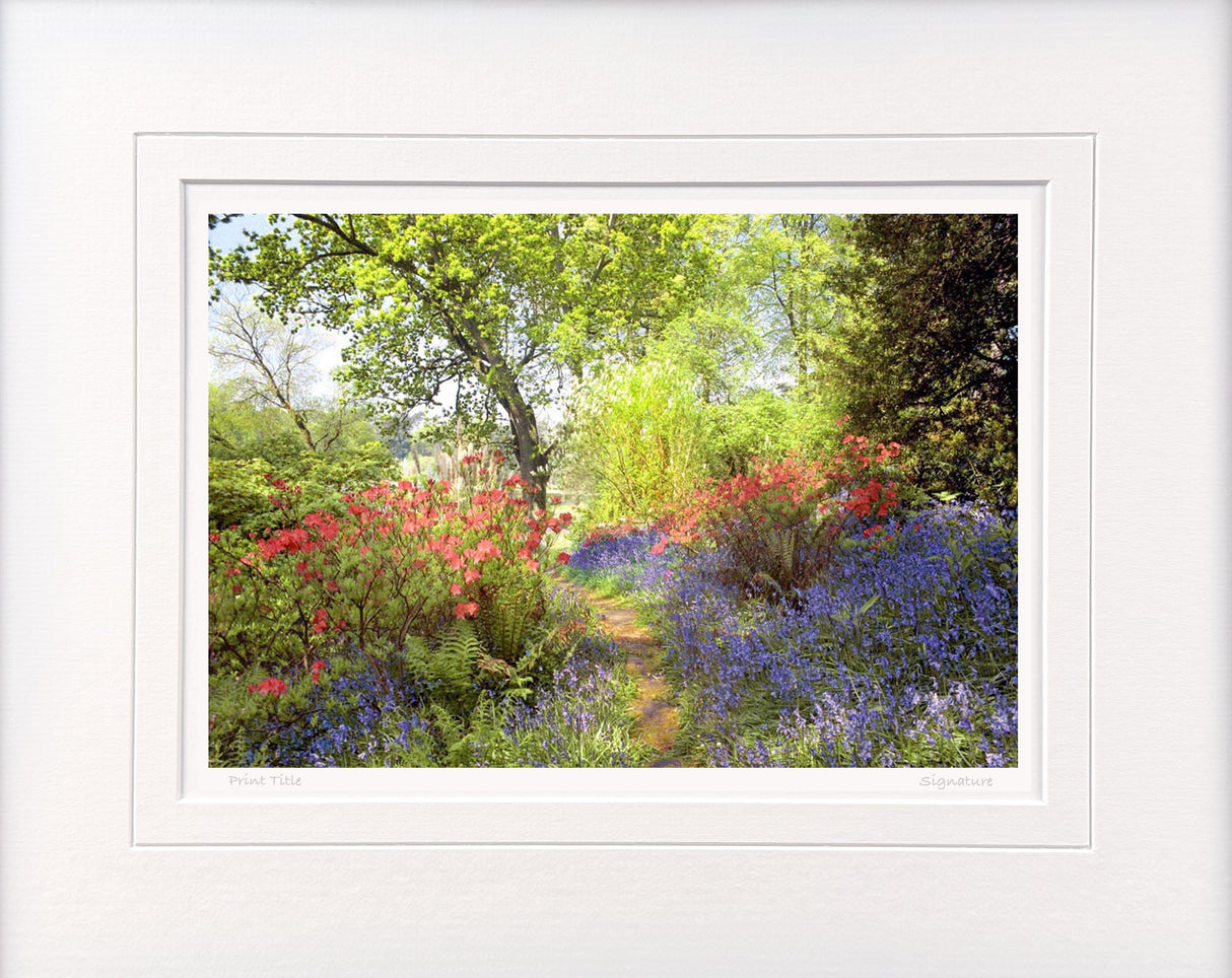 Mount Stewart - Spring Morning