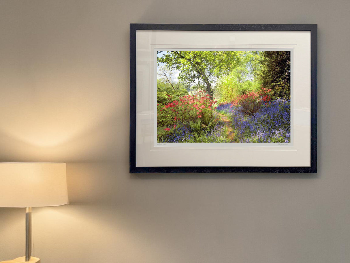 Mount Stewart - Spring Morning
