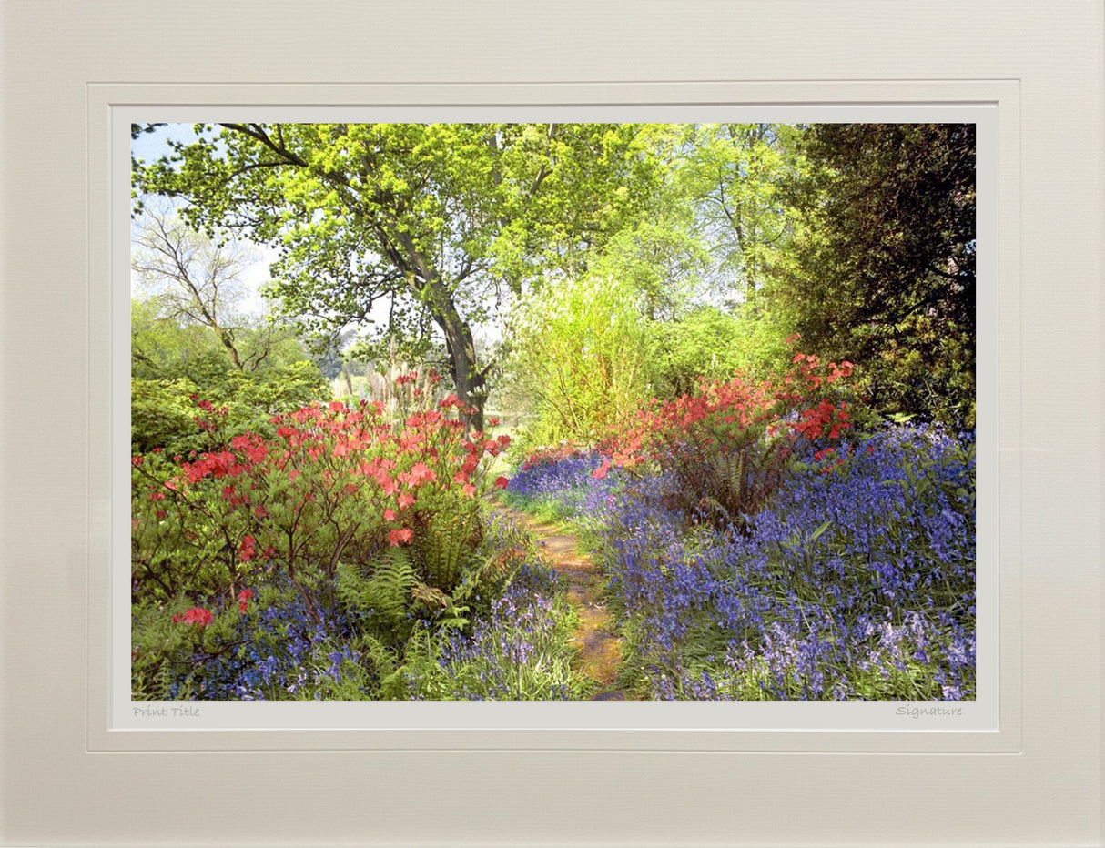 Mount Stewart - Spring Morning