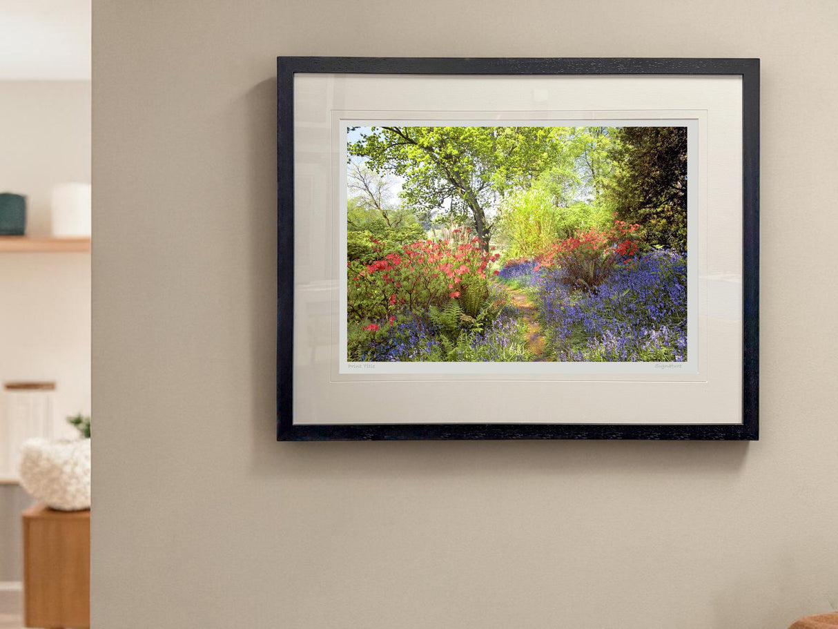 Mount Stewart - Spring Morning