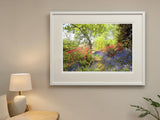 Mount Stewart - Spring Morning
