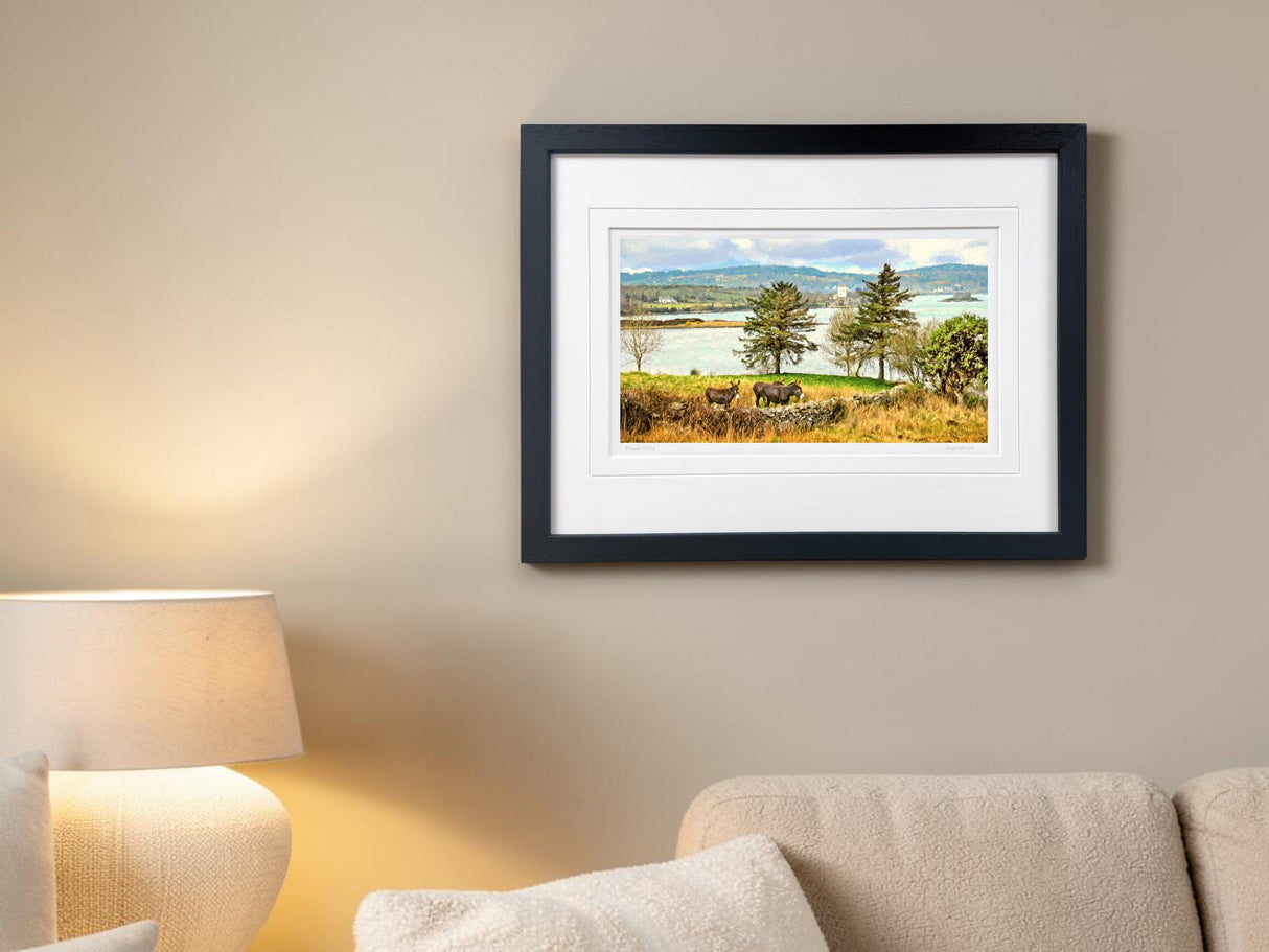 Near Doe Castle, Donegal - signed limited edition print by Lucas Creative Art