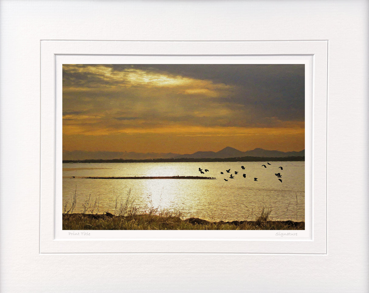 Time to Go Home, Strangford Lough