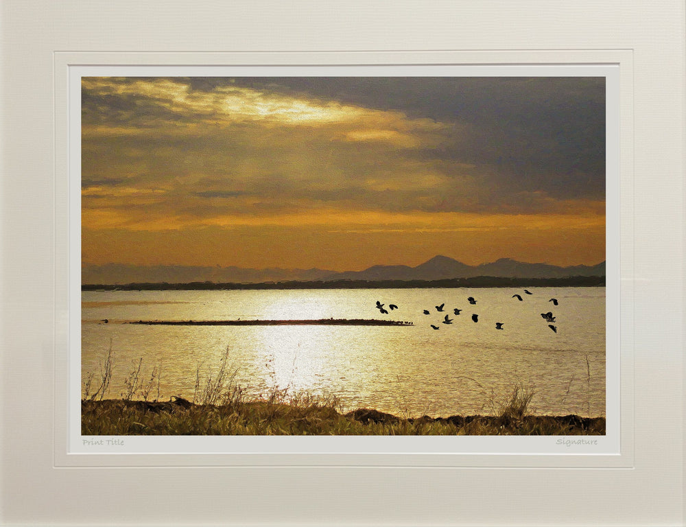 Time to Go Home, Strangford Lough
