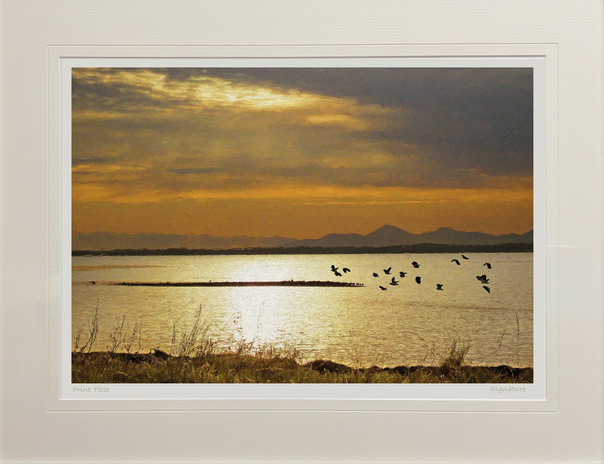 Time to Go Home, Strangford Lough