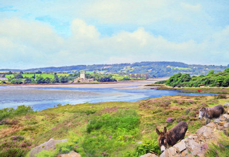 Towards Doe Castle, Donegal