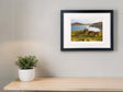 Tranarossan - Small Framed Black