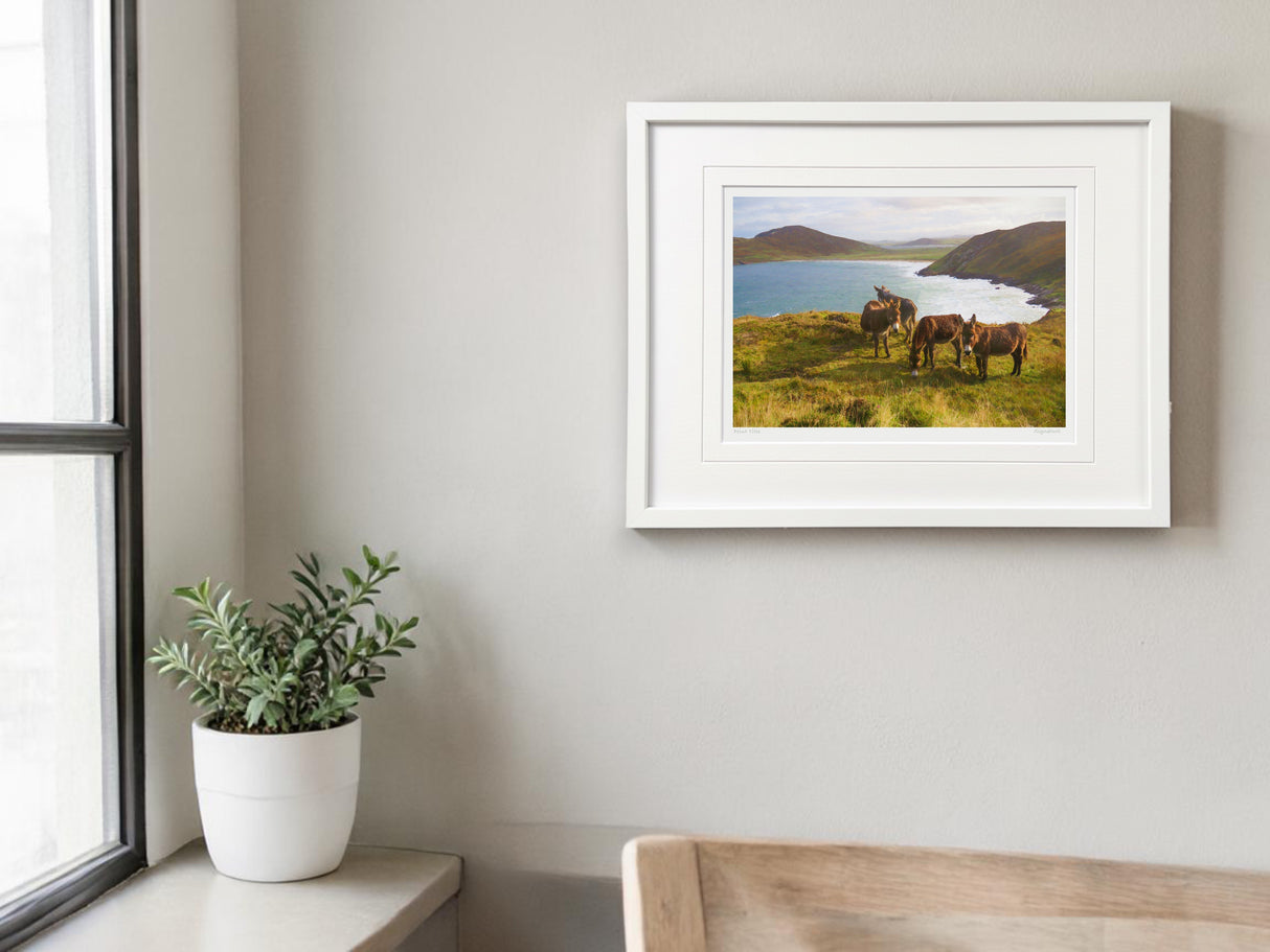 Tranarossan - Small Framed White