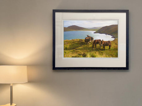 Tranarossan - Standard Framed Black