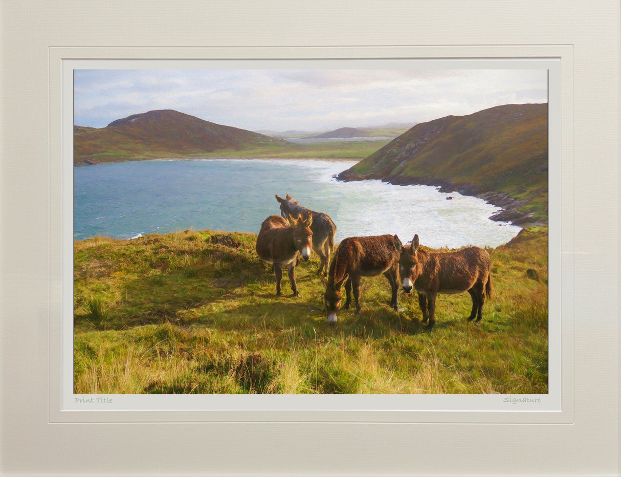 Tranarossan, From Atlantic Drive, Donegal - signed limited edition print by Lucas Creative Art